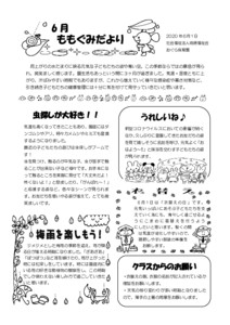 2006_2momo